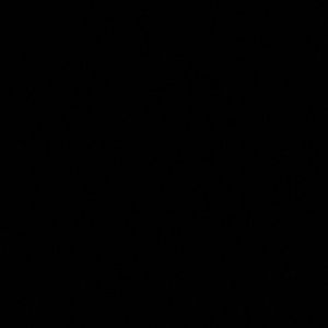 Meet your Posher, Naomi